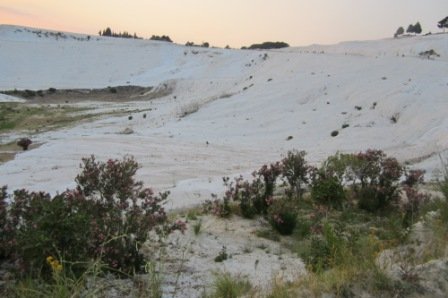 turkey 1220