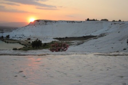 turkey 1218