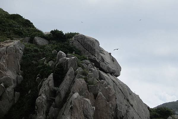 IMG_5743