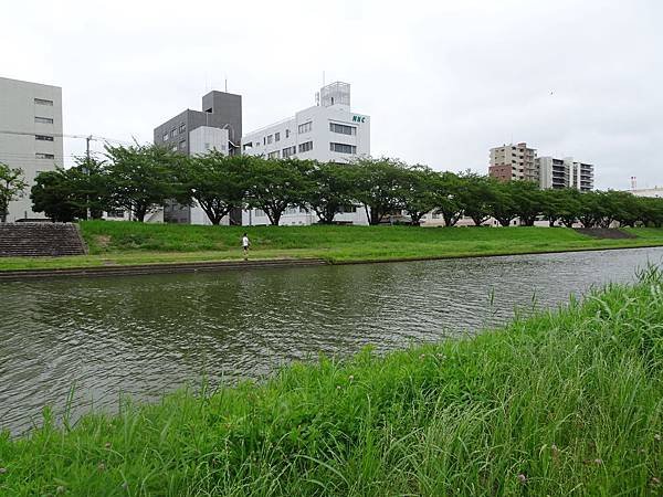 DSC01147.jpg