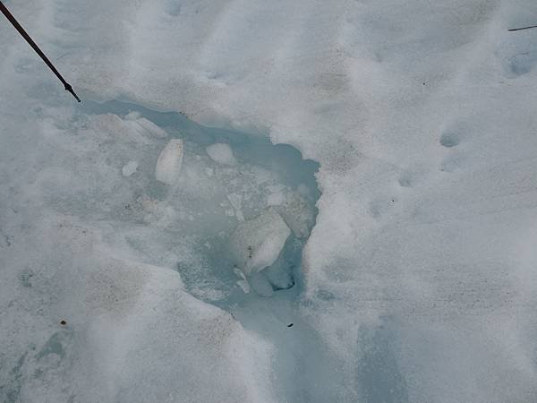 Day 10: Fox Glacier