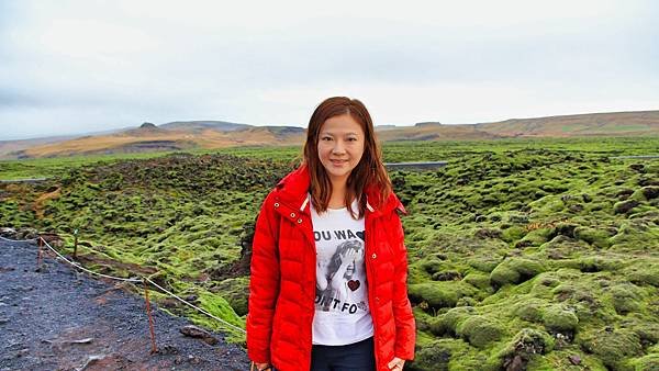 Day 4:苔原,Falljökull冰川健行,瀑布農場