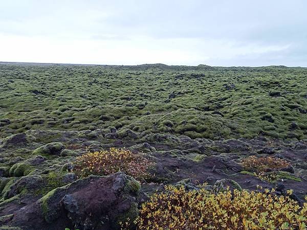 Day 4:苔原,Falljökull冰川健行,瀑布農場