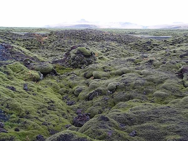 Day 4:苔原,Falljökull冰川健行,瀑布農場