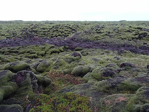 Day 4:苔原,Falljökull冰川健行,瀑布農場