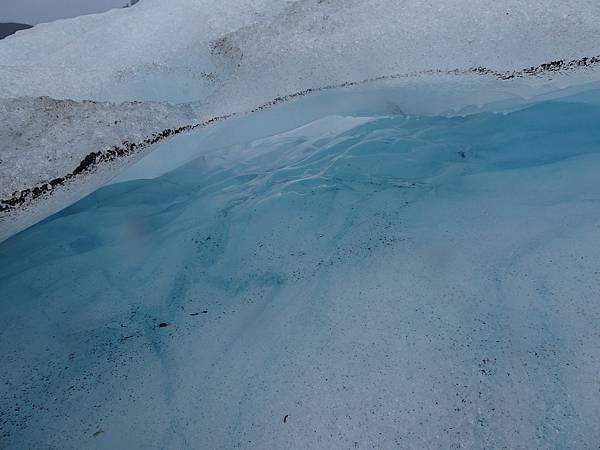 Day 4:苔原,Falljökull冰川健行,瀑布農場