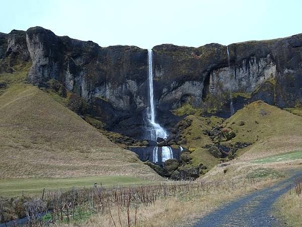 Day 4:苔原,Falljökull冰川健行,瀑布農場