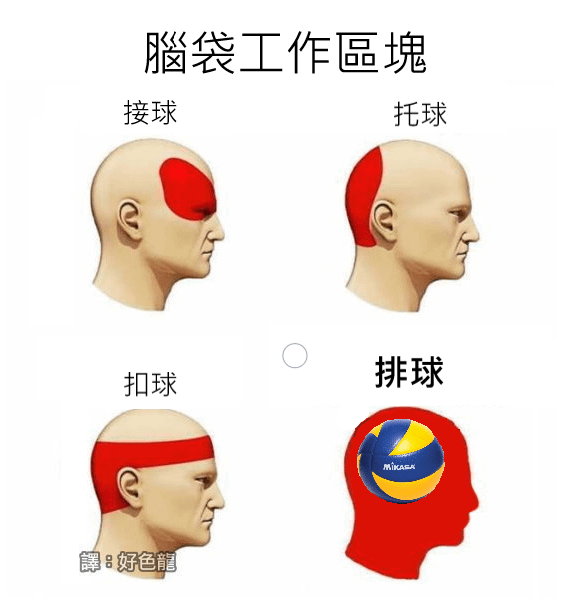 滿腦子排球.png