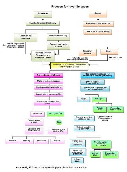 少年犯罪 flowchart.jpg