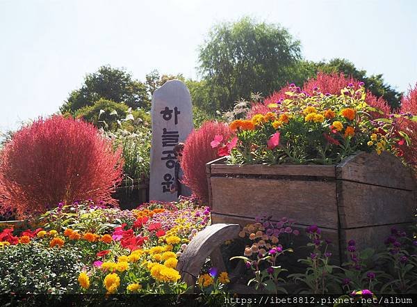 。首爾秋景點-世界盃體育場站 // 圓夢毛絨絨粉黛亂子草 @