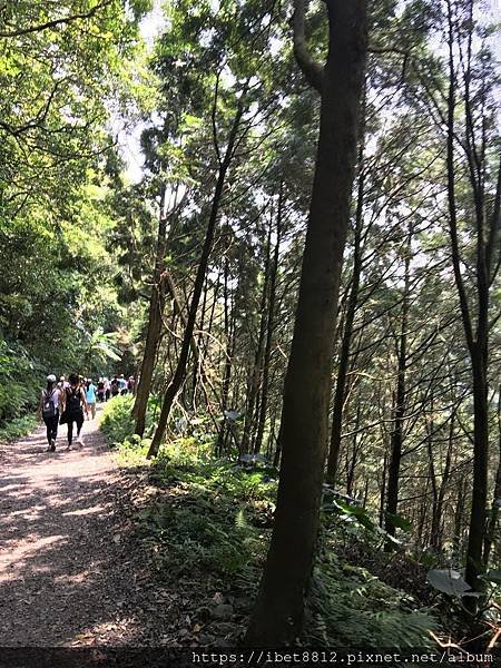 。宜蘭礁溪 // 每年一訪 IG 打卡熱門景點「抹茶山」-聖