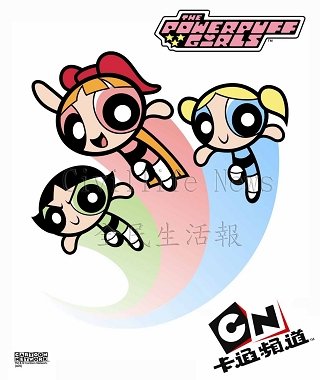 PPG-2.JPG