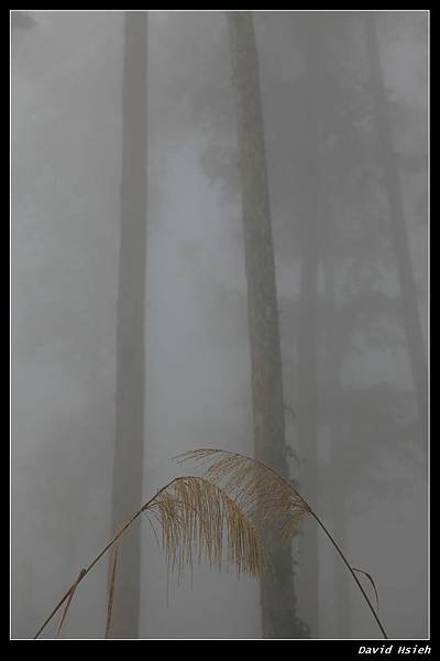 nEO_IMG_IMG_4796
