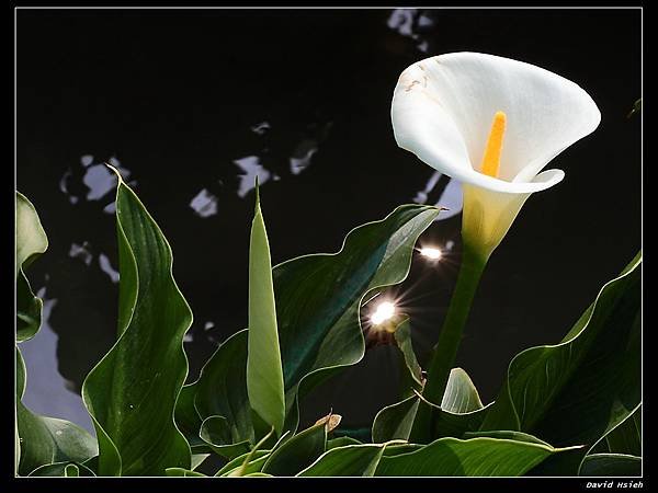 nEO_IMG_IMG_5113