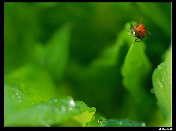 nEO_IMG_IMG_6921.jpg
