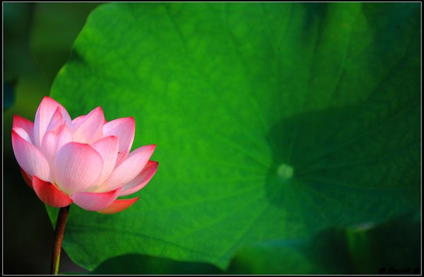 nEO_IMG_IMG_2274.jpg