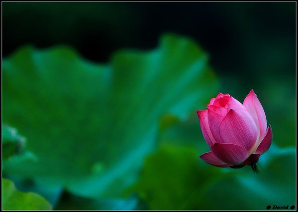 nEO_IMG_IMG_1986.jpg