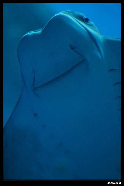 nEO_IMG_IMG_7832.jpg