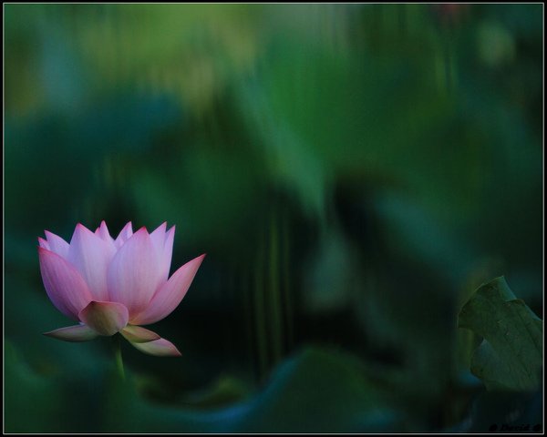 nEO_IMG_IMG_2252.jpg