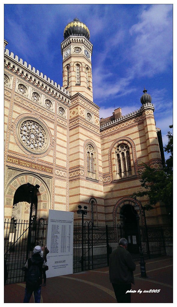 IMAG0055.jpg