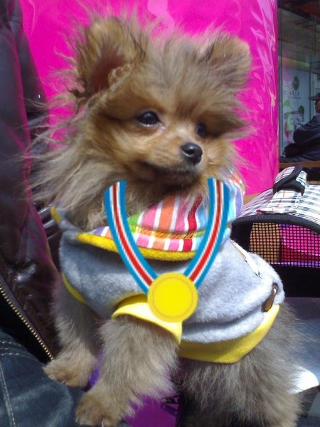 2010022116022-001.jpg
