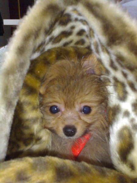 2010021515883.jpg