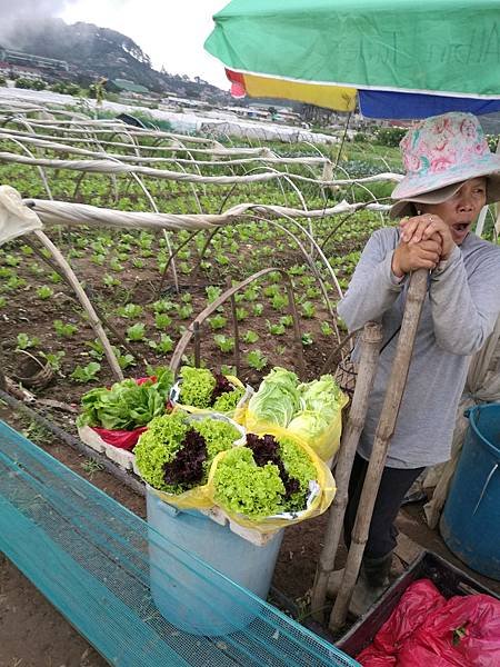 160604 (71)這兒的蔬菜包裝得像花束一樣美，不過這位大嬸的表情也太對比.....jpg