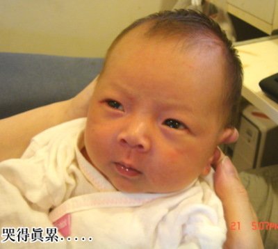 DSC07546-1.JPG