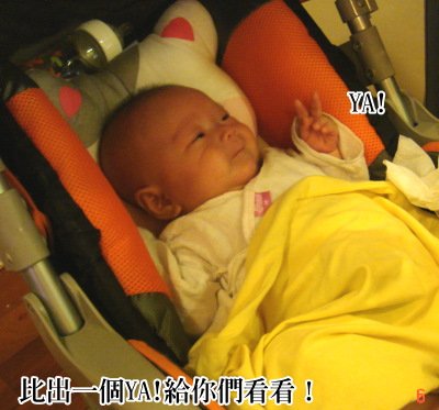 DSC09482-1.JPG