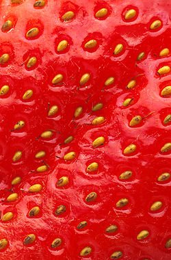 250px-Closeup_of_a_strawberry.jpg