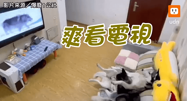 擷取.PNG