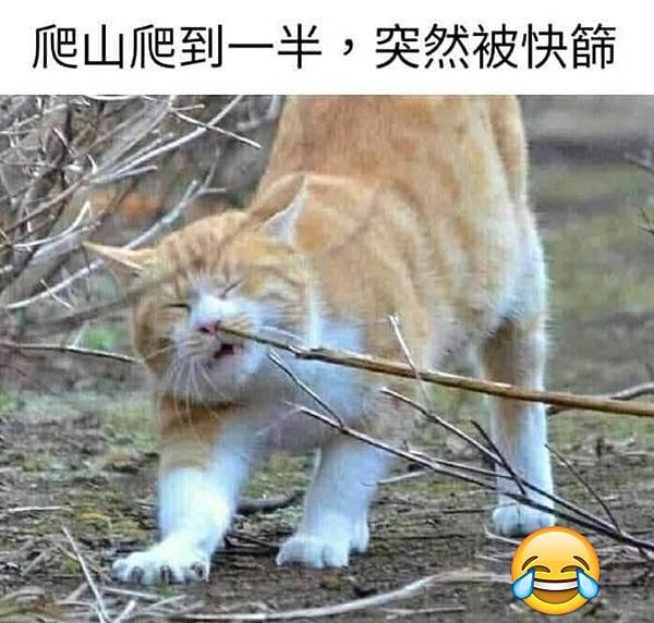 pVwPip9jBIHMBCkOYZ5VBaXoc4-y9uZOgR1aDgHUK8Iie_ciyQXf73gQmQ7p89dlPGK66liOhlOdPLOwpxOCL_3QV69A4TDFstHq3qO7y_cUq1YtKTlsiCUiO6DmlWh5.jpg