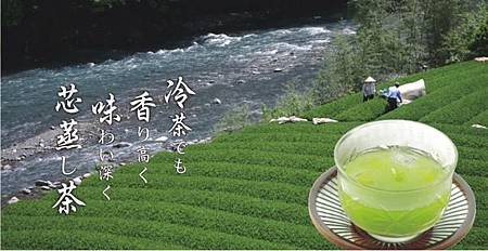 抹茶-3