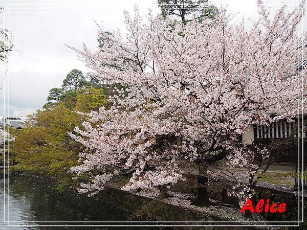 大板水上巴士與倉敷美觀地區08.jpg