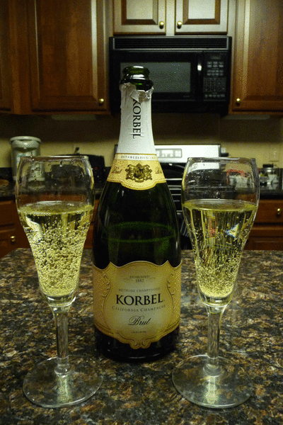 01012009-champagneP1050824.gif