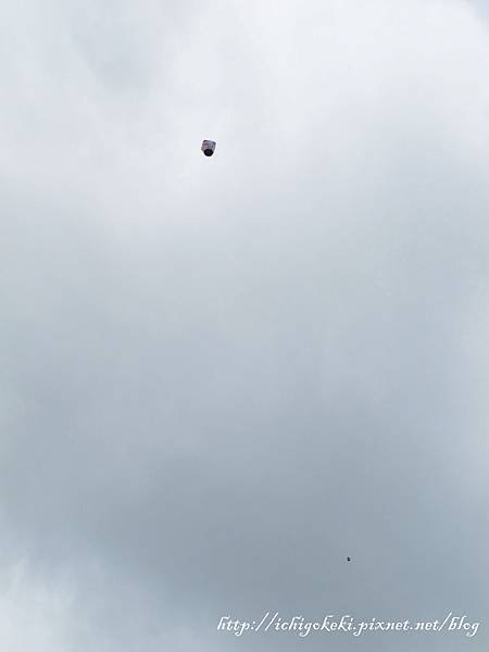 IMG_3856.jpg