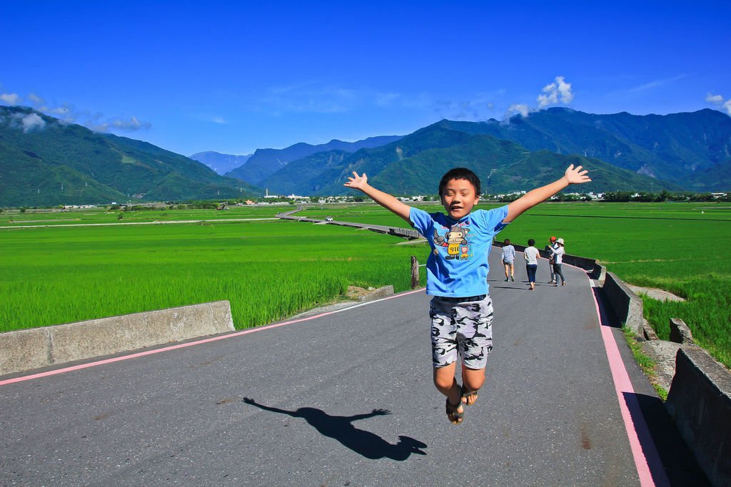 【台東景點】伯朗大道│金城武樹│天堂路│大坡池風景區。季節限