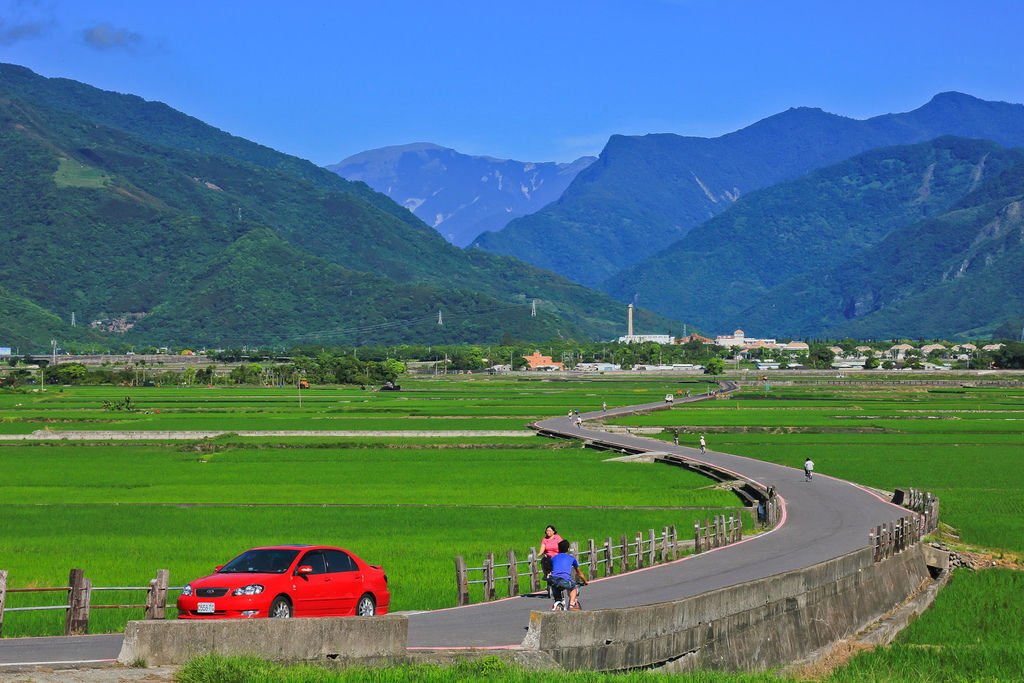 【台東景點】伯朗大道│金城武樹│天堂路│大坡池風景區。季節限