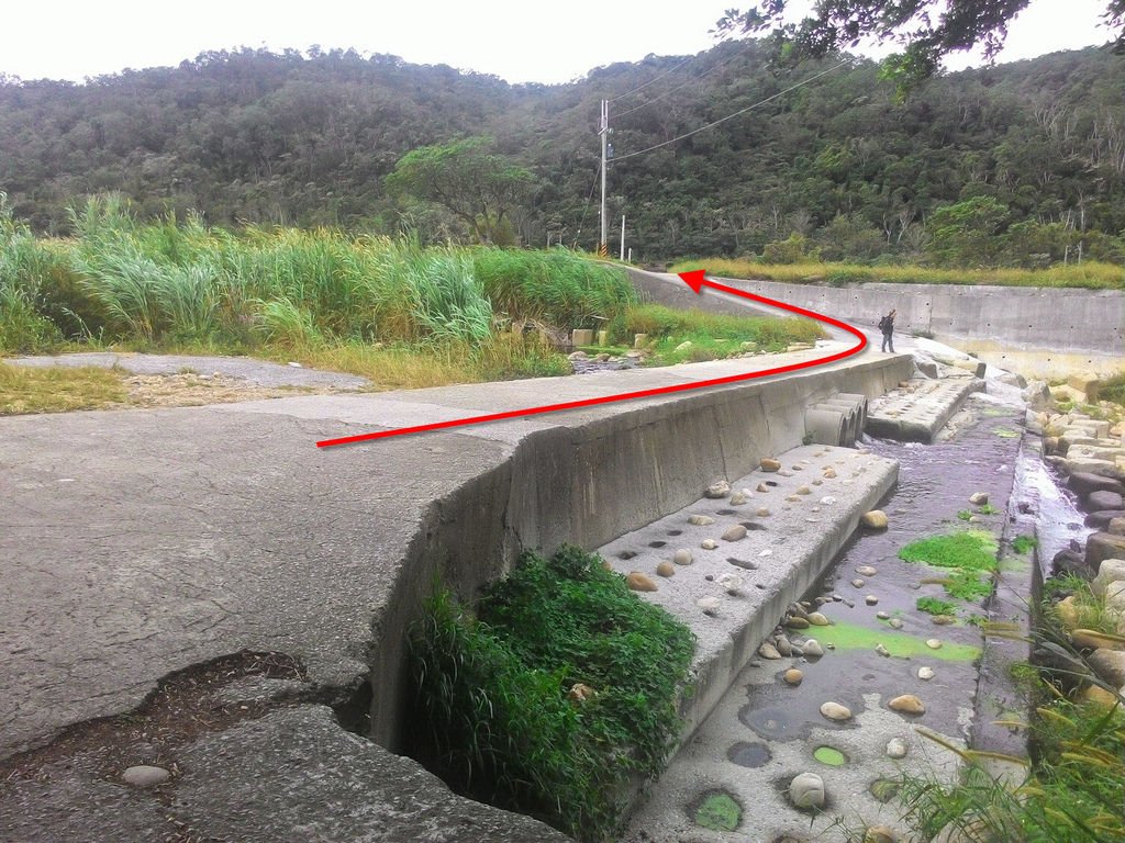 【苗栗景點】銅鑼九湖村賞杭菊│金黃、雪白色杭菊花海醉人景致│