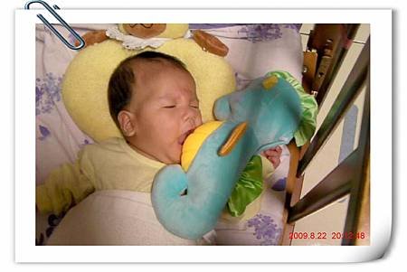 2009-08 飄洋過海來台的費雪聲光小海馬