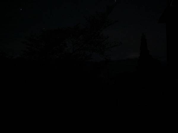 DSC03196