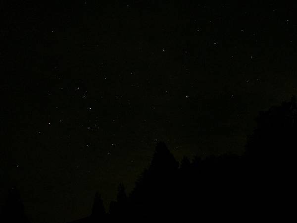 DSC03252