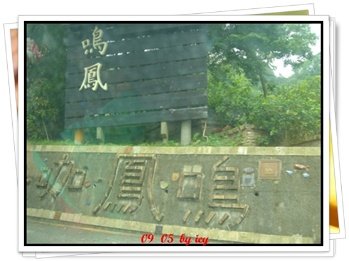 鳳嗚古道看桐花兒 (20).JPG
