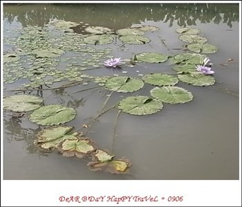 R0010914.JPG