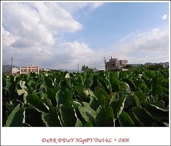 R0010934.JPG