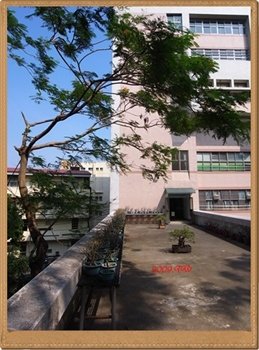 兩週間 (15).JPG