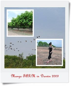 page73.jpg