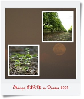 page75.jpg