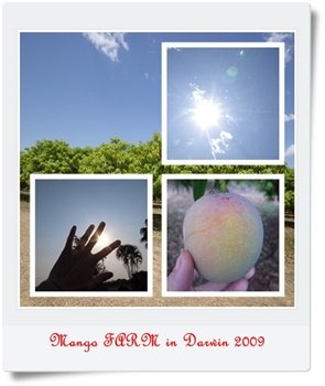 page76.jpg