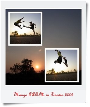 page91.jpg